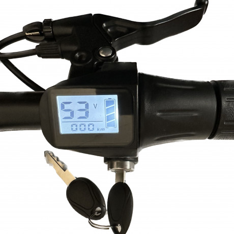Display White&Black Throttle Display for S162 Scooter Bike