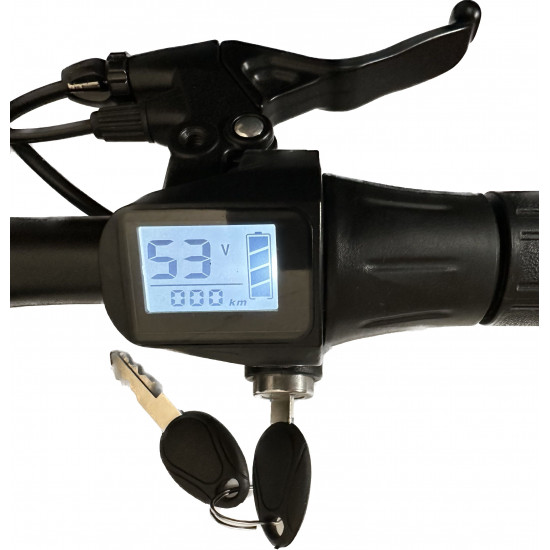 White&Black Throttle Display for S162 Scooter Bike