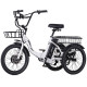 Soumye 36V 350W10.4AH 14"x1.75 Folding Electric Tricycle ( Model: S186 )